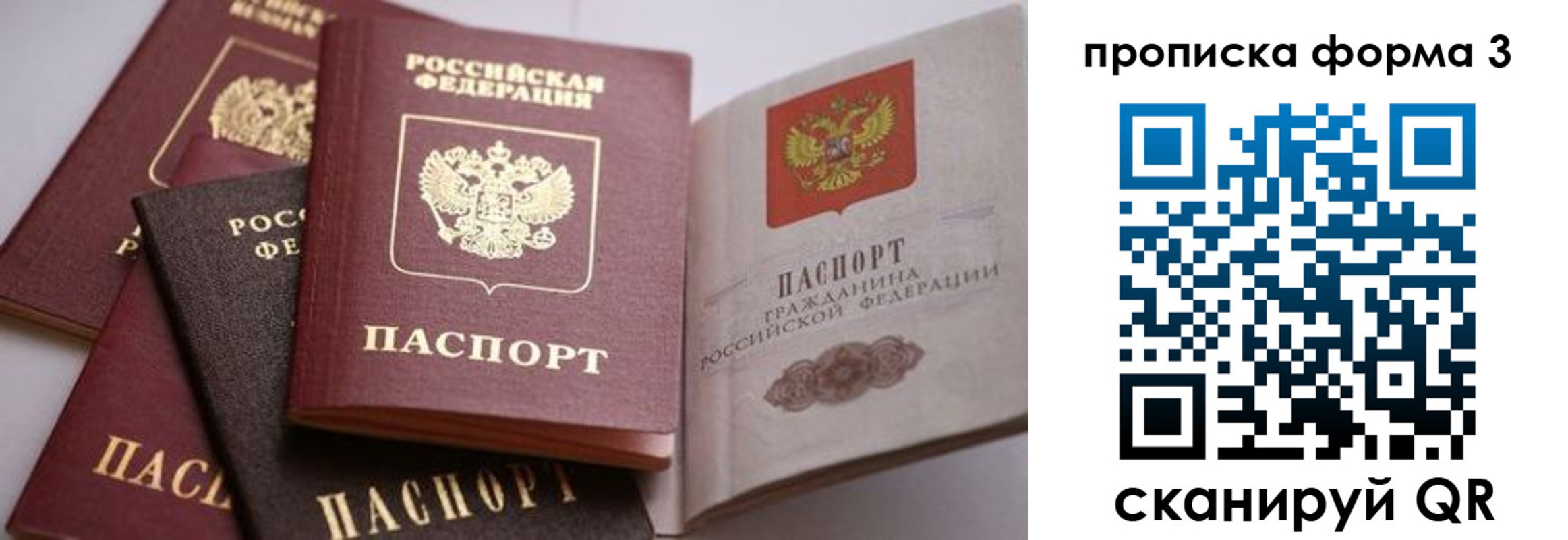 прописка для школы в Трубчевске